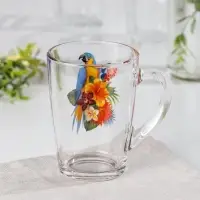 Кружка стеклянная &laquo;Тропические птицы&raquo;, 300 мл