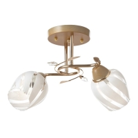 Люстра "Лепестки" 2x40Вт E27 золото 44х33х28 см Люстра "Лепестки" 2x40Вт E27 золото 44х33х28 см