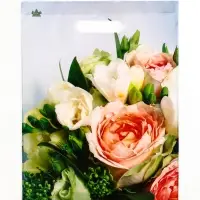 Пакет "Романтическое настроение", полиэтиленовый с вырубной ручкой, л 40х31 см, 60 мкм