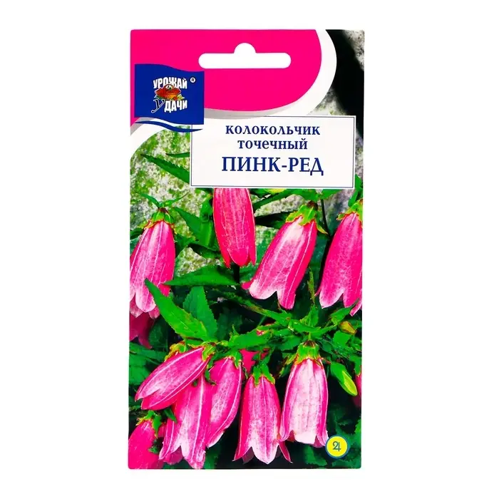 Семена цветов Колокольчик "Точечный Пинк Ред", 0,015 г