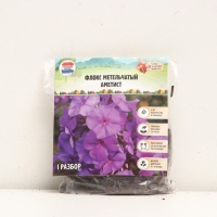 Флокс метельчатый &laquo;Аметист&raquo;, корневище в пакете с торфогрунтом, р-р I, 2 шт.