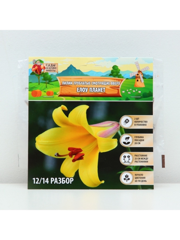 Лилии Трубчатые смотрящие вверх Yellow Planet, луковица в пакете с перфорацией, р-р 12/14, 2 шт.