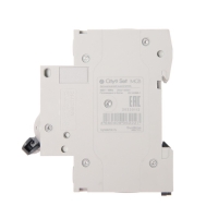 Автоматический выключатель SE City9 Set, С, 16 А, 2P, 4.5 kA, 230 В Автоматический выключатель SE City9 Set, С, 16 А, 2P, 4.5 kA, 230 В