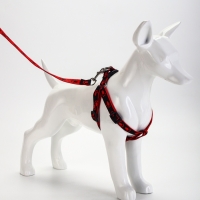 Комплект "Большая лапа", ширина 1,5 см, поводок 120 см, шлейка 28-42 см, красно-чёрный Комплект "Большая лапа", ширина 1,5 см, поводок 120 см, шлейка 28-42 см, красно-чёрный