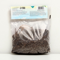 Хоста American Halo, р-р I, корневище в пакете с торфогрунтом, размер L,1 шт.