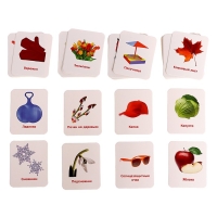 Сортер &laquo;Изучаем времена года&raquo; с карточками Домана