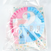 Набор одноразовой посуды &laquo;Гендер Пати&raquo;, 17 предметов