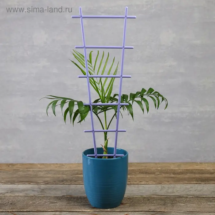 Шпалера, 56&times;19&times;0.5 см, пластик, цвет МИКС, &laquo;Лесенка&raquo;