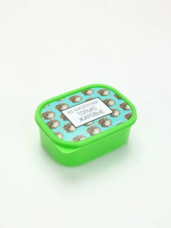 Ланч-бокс &laquo;Накопления&raquo;, 500 мл