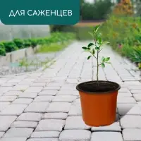Горшок для рассады, 3.5 л, d=20 см, h=16 см, мягкий пластик, терракот, Greengo
