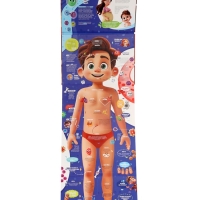 Книга - раскладушка детская &laquo;Как устроено моё тело&raquo;, 40 окошек