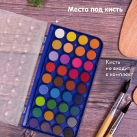 Акварель сухая 36 цветов, BRAUBERG "PREMIUM", круглые кюветы 23 мм, пенал