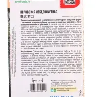 Семена цветов Перовския Blue Steel лебедолистная  3шт / НОВИНКА 12.29 г.