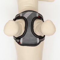 Комплект амуниции светоотражающий, размер S, ОГ 35-60 см, стропа 1,5 см, серый Комплект амуниции светоотражающий, размер S, ОГ 35-60 см, стропа 1,5 см, серый