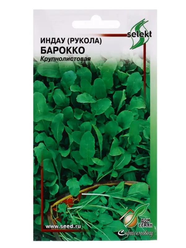 Семена Индау ( руккола ) Барокко 250 шт