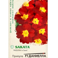 Семена Примула "Даниелла скарлет", F1, 5 шт.