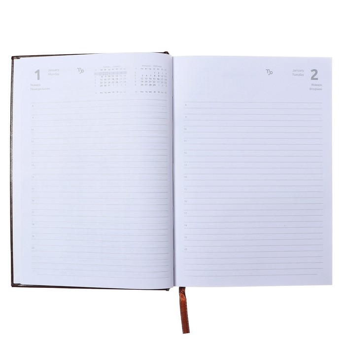 Ежедневник датированный 2024 года, А5, 176 листов, Attomex.Orion, обложка бумвинил, ляссе, блок 70 г/м2, коричневый