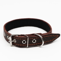 Ошейник кожаный с тиснением на синтепоне, 55 х 2.5 см, ОШ 35-45 см, коричневый Ошейник кожаный с тиснением на синтепоне, 55 х 2.5 см, ОШ 35-45 см, коричневый