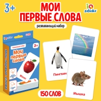 Развивающий набор &laquo;Мои первые слова&raquo;