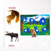 Развивающая игра на липучках &laquo;&lrm;Изучаем мир лесных животных&raquo;, методика Домана, с обучающими карточками по методике Глена Домана