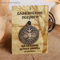 Славянский оберег из ювелирной бронзы &laquo;Целебник&raquo; (чистит ауру, дарует здоровье и долголетие), 68 см