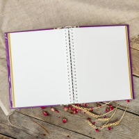 Фотоальбом магнитный 30 листов "Орнамент" 23x28см МИКС