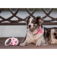 Рулетка "Лапа", 5 м, до 35 кг, принт цветы Рулетка "Лапа", 5 м, до 35 кг, принт цветы