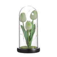 Ночник колба &laquo;Тюльпаны&raquo; LED 3хААА зеленый 10,5х10,5х22см