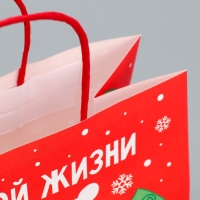 Пакет подарочный новогодний крафтовый &laquo;Что-то на богатом&raquo;, 22 х 22 х 11 см