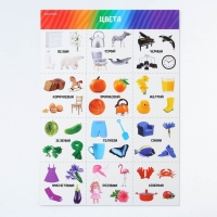 Набор обучающих плакатов &laquo;Изучаем мир&raquo;, 10 в 1, А4