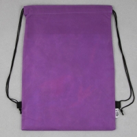 Мешок для обуви &laquo;Яркие тропики&raquo; нетканное полотно, размер 30 х 40 см