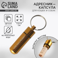 Адресник &laquo;Талисман&raquo; для вложения записки, капсула 5.2х1.4 см