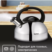 Чайник для плиты из нержавеющей стали C7922024, 3 л