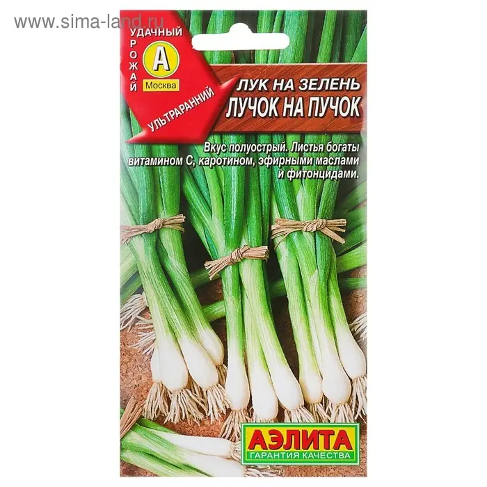 Семена Лук на зелень "Лучок на пучок", 0,5 г