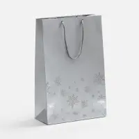 Пакет Wintry, серебристый