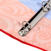 Папка школьная на кольцах &laquo;Портфолио российского школьника&raquo;, без разделителей, 24,5 х 32 см.