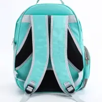 Рюкзак для переноски животных прозрачный, 31 х 28 х 42 см, бирюзовый