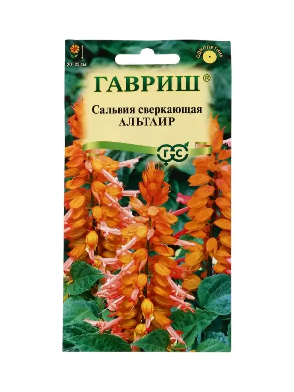 Семена цветов Сальвия Альтаир*, карликовая 4 шт.