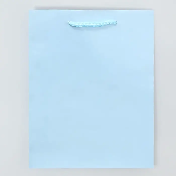 Пакет подарочный ламинированный, упаковка, &laquo;Голубой&raquo;, MS 18 х 23 х 8 см