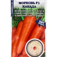 Семена Морковь на ленте Канада /Сотка/ 6м/ среднепозд. 18-20см Bejo/*240
