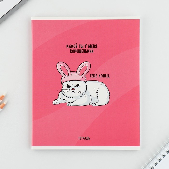 Тетрадь в клетку, 48 листов А5 на скрепке МИКС &laquo;1 сентября: Котики&raquo;, обложка мелованный картон 230 гр внутренний блок №1, белизна 96%