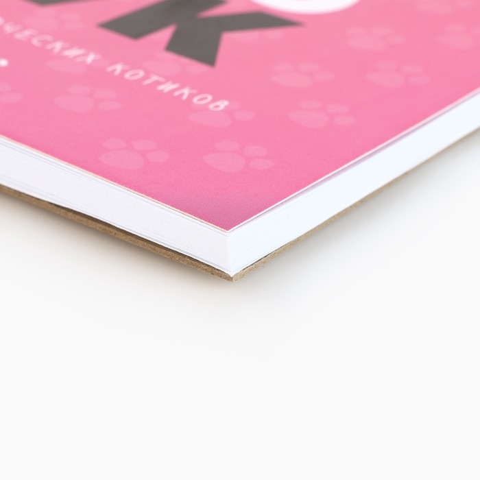 Скетчбук &laquo;Котобук&raquo; А5, 40 л, 100 г/м