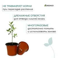 Горшок для рассады, 1,1 л, d = 14 см, h = 12 см, мягкий пластик, терракот, Greengo