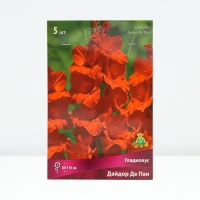 Гладиолус крупноцветковый &laquo;Дайдор Де Пан&raquo;, луковица цветов в пакете с перфорацией, р-р 12/14, 5 шт.