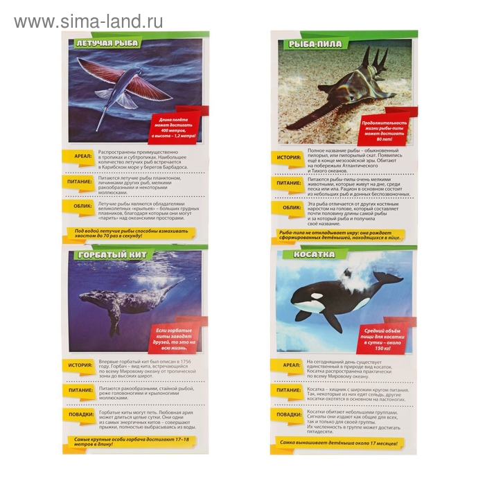 Мини-энциклопедии набор &laquo;Узнаём про всё вокруг. Живая природа&raquo;, 8 шт. по 20 стр.