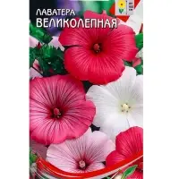 Семена цветов Лаватера Великолепная 45 шт