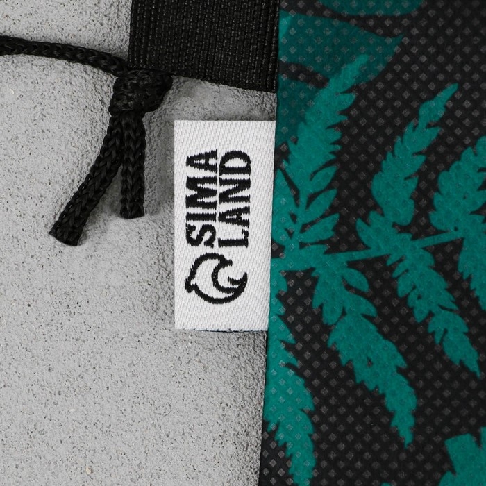 Мешок для обуви &laquo;1 сентября: T-REX динозавр&raquo; нетканное полотно, размер 30 х 40 см