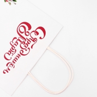 Пакет подарочный крафт "С Праздником 8 марта!" 21 х 11 х 27 См