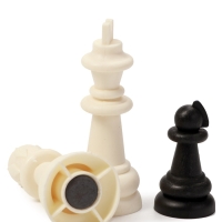 Шахматы магнитные 31 х 31 см, король h-5.8 см, d-2.3 см, доска и фигуры пластик