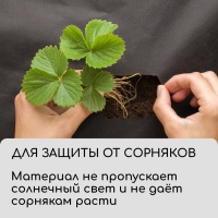 Материал для ландшафтных работ, 10 &times; 3,2 м, плотность 120 г/м&sup2;, спанбонд с УФ-стабилизатором, чёрный, Greengo, Эконом 30%